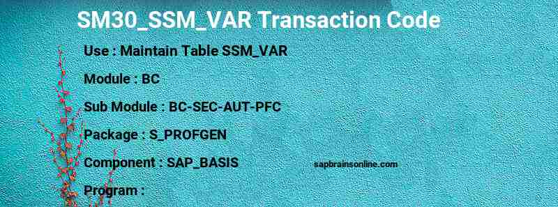 SAP SM30_SSM_VAR transaction code