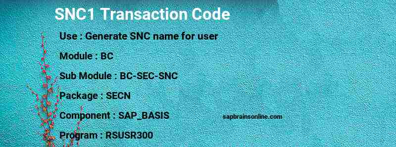 SAP SNC1 transaction code