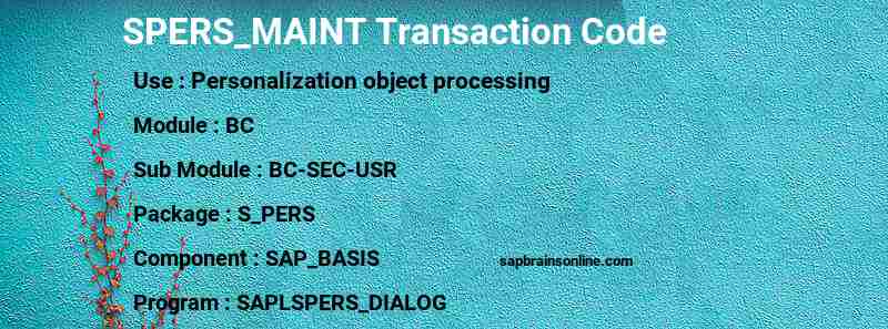 SAP SPERS_MAINT transaction code