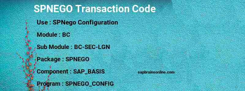 SAP SPNEGO transaction code