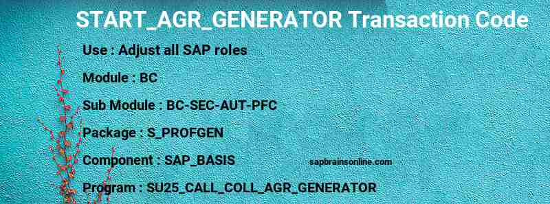 SAP START_AGR_GENERATOR transaction code