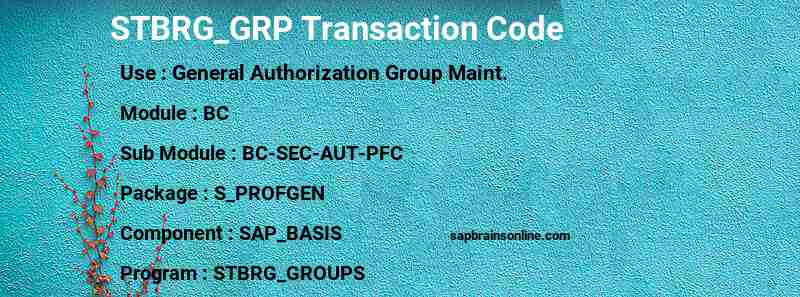 SAP STBRG_GRP transaction code