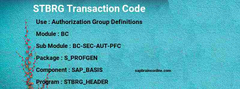 SAP STBRG transaction code