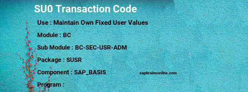 SAP SU0 transaction code