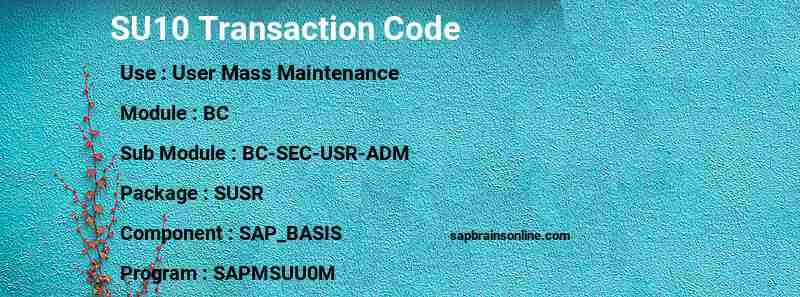 SAP SU10 transaction code