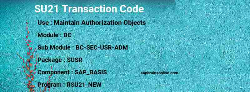 SAP SU21 transaction code