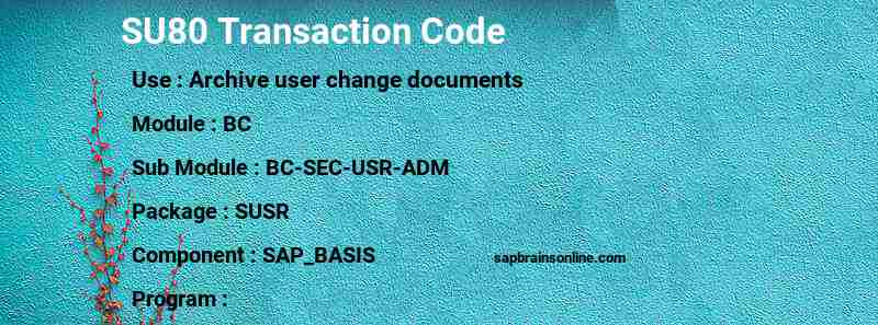 SAP SU80 transaction code
