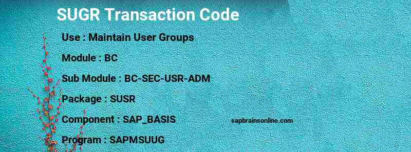 SAP SUGR transaction code
