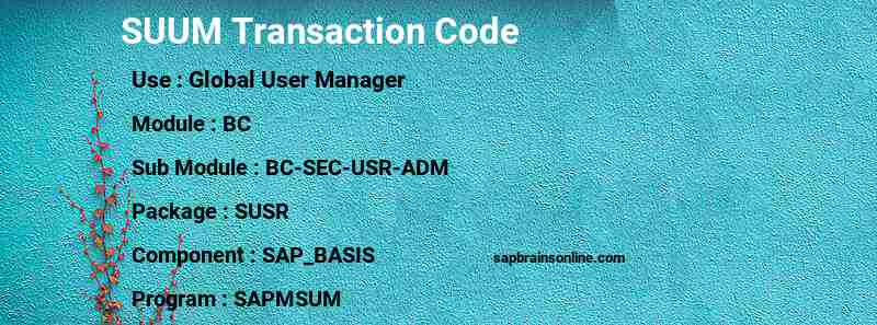 SAP SUUM transaction code