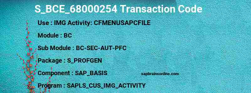 SAP S_BCE_68000254 transaction code
