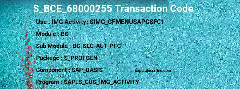 SAP S_BCE_68000255 transaction code