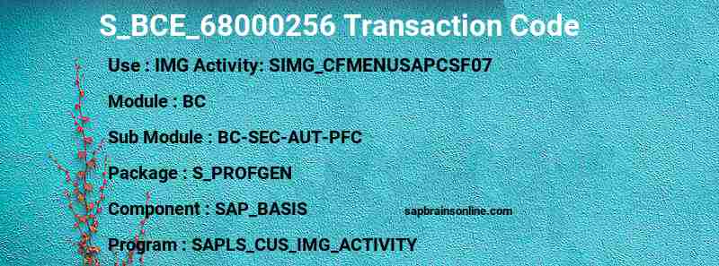 SAP S_BCE_68000256 transaction code