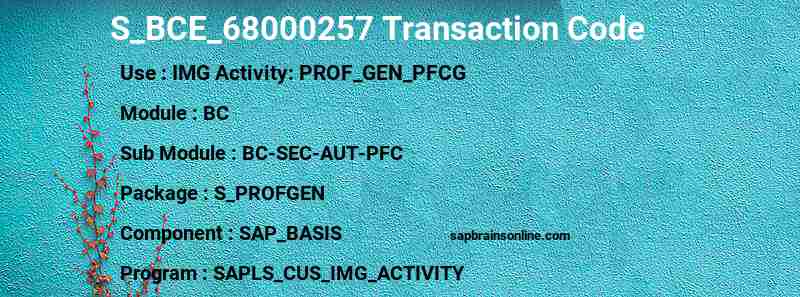 SAP S_BCE_68000257 transaction code