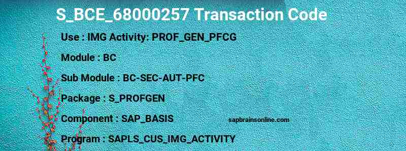 SAP S_BCE_68000257 transaction code