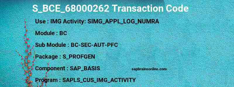 SAP S_BCE_68000262 transaction code
