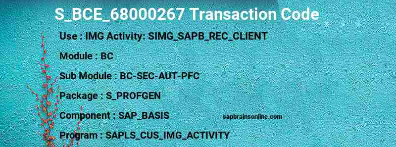 SAP S_BCE_68000267 transaction code