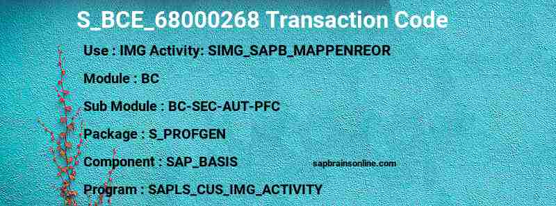 SAP S_BCE_68000268 transaction code