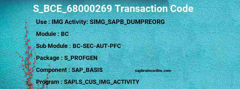 SAP S_BCE_68000269 transaction code