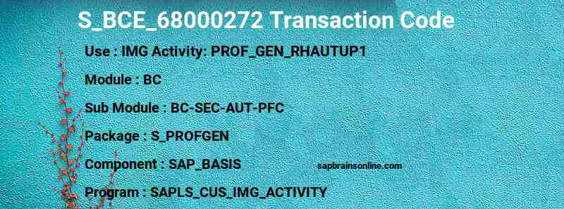 SAP S_BCE_68000272 transaction code
