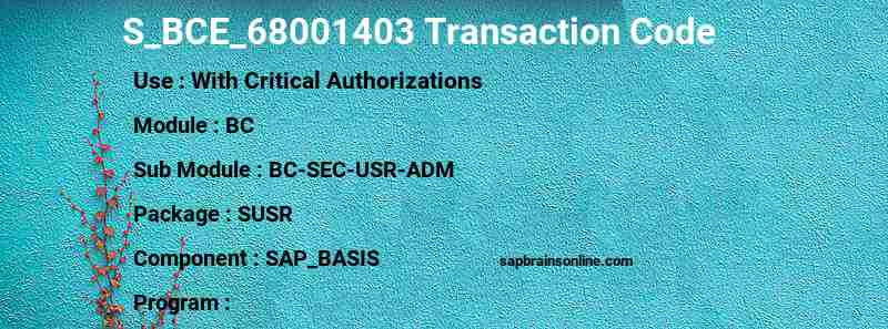 SAP S_BCE_68001403 transaction code