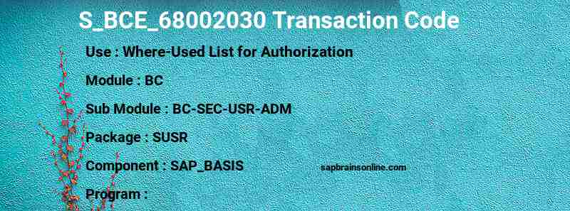 SAP S_BCE_68002030 transaction code
