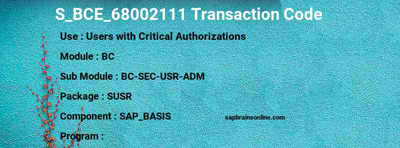 SAP S_BCE_68002111 transaction code