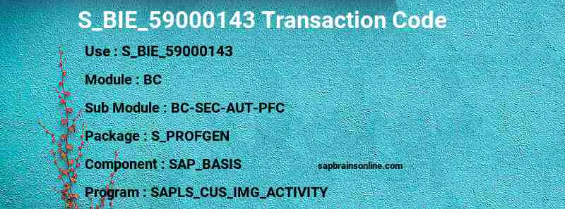 SAP S_BIE_59000143 transaction code