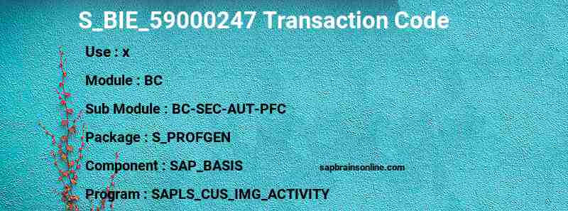 SAP S_BIE_59000247 transaction code