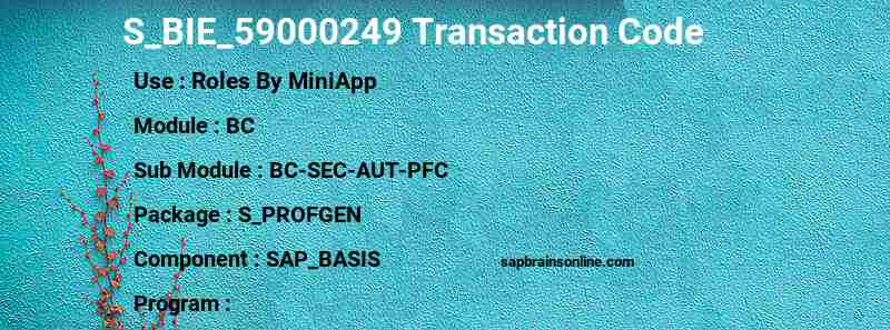 SAP S_BIE_59000249 transaction code