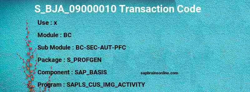 SAP S_BJA_09000010 transaction code