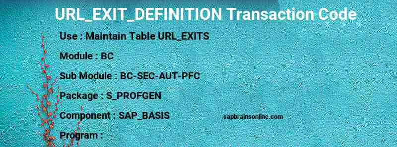SAP URL_EXIT_DEFINITION transaction code