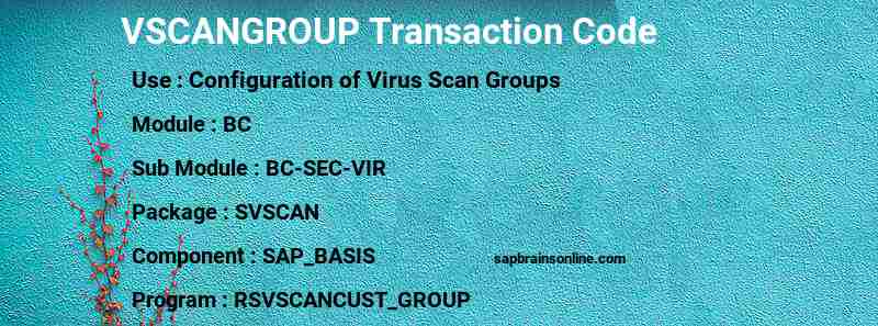 SAP VSCANGROUP transaction code