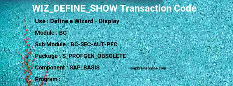 SAP WIZ_DEFINE_SHOW transaction code