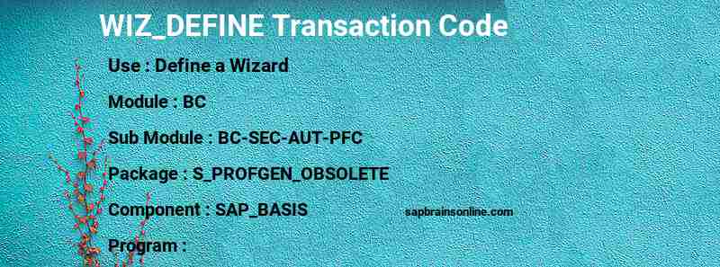 SAP WIZ_DEFINE transaction code