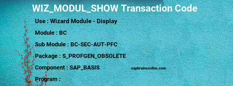 SAP WIZ_MODUL_SHOW transaction code