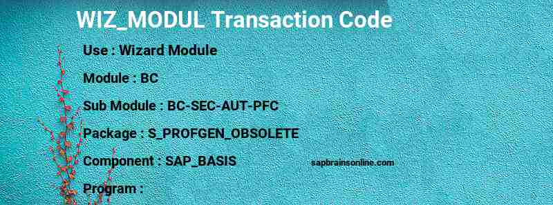 SAP WIZ_MODUL transaction code