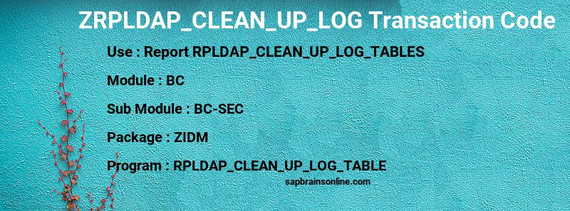 SAP ZRPLDAP_CLEAN_UP_LOG transaction code