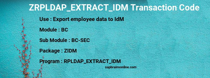 SAP ZRPLDAP_EXTRACT_IDM transaction code