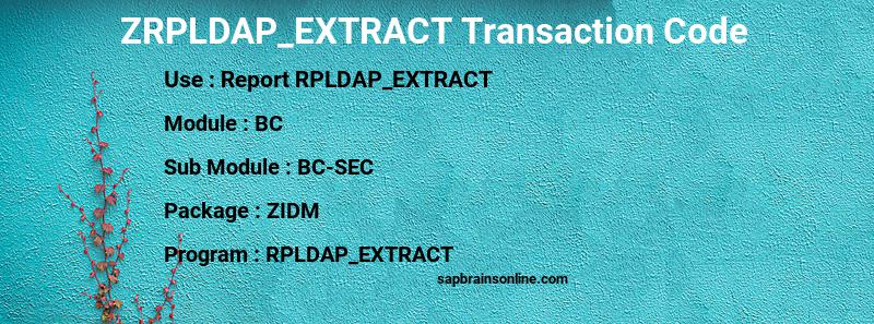 SAP ZRPLDAP_EXTRACT transaction code