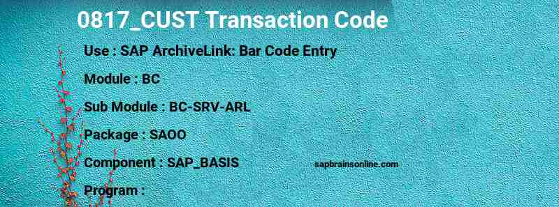 SAP 0817_CUST transaction code