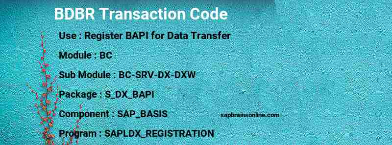 SAP BDBR transaction code