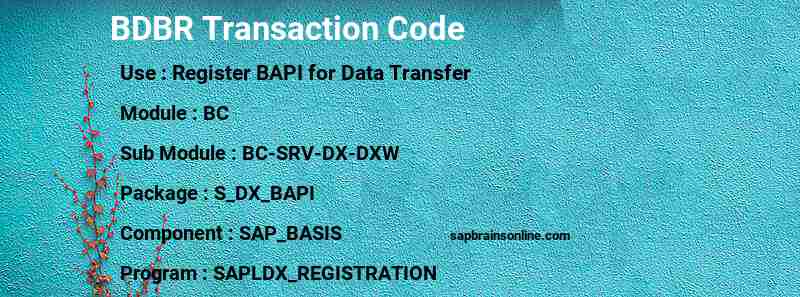 SAP BDBR transaction code