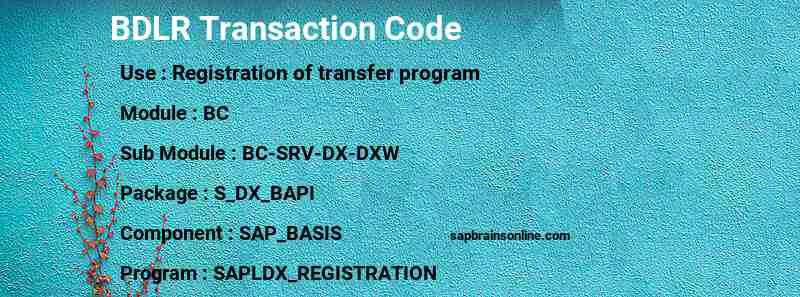 SAP BDLR transaction code