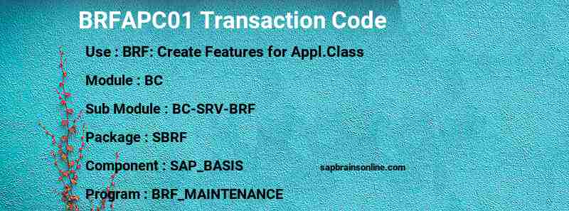 SAP BRFAPC01 transaction code