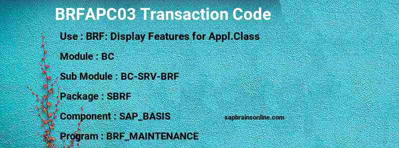 SAP BRFAPC03 transaction code