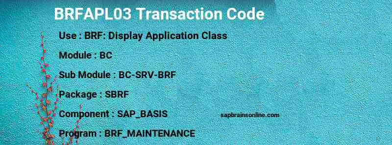 SAP BRFAPL03 transaction code