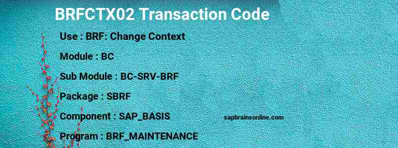 SAP BRFCTX02 transaction code