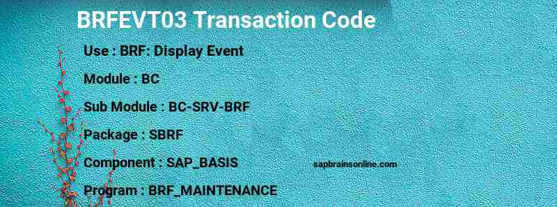 SAP BRFEVT03 transaction code
