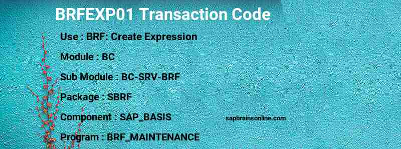 SAP BRFEXP01 transaction code