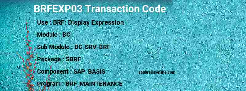 SAP BRFEXP03 transaction code
